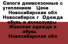 Сапоги демисезонные с утеплением › Цена ­ 2 000 - Новосибирская обл., Новосибирск г. Одежда, обувь и аксессуары » Женская одежда и обувь   . Новосибирская обл.